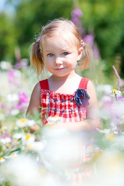 초원에서 어린 소녀 — 스톡 사진