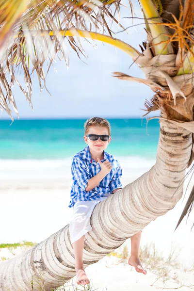 Liten pojke sitter på palm — Stockfoto