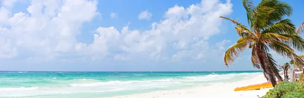 아름다운 순록 해변 — 스톡 사진