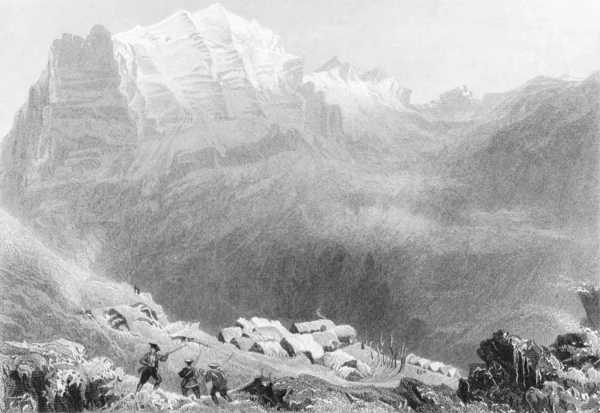 Felix nef Haradu vysoké Alpy — Stock fotografie