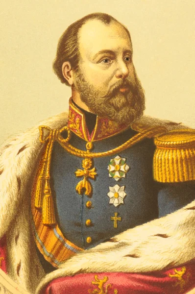 Guglielmo III dei Paesi Bassi — Foto Stock