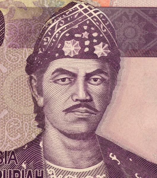 Султан Махмуд Badaruddin Ii — стокове фото