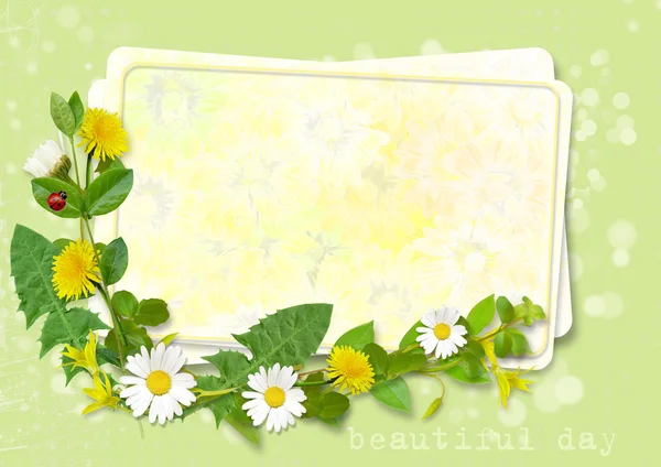 Cartão de saudação com margaridas — Fotografia de Stock