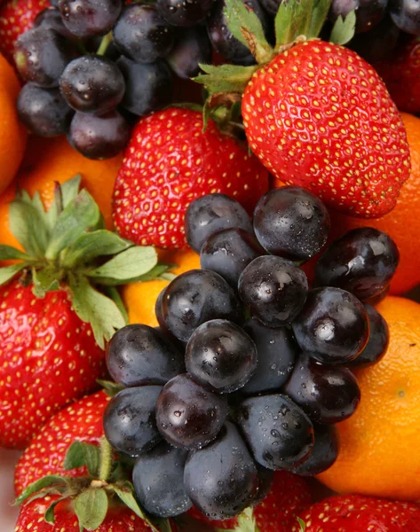 Bayas maduras y frutas — Foto de Stock