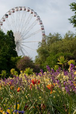 hyde park, Londra, İngiltere'de yapılan feribot tekerlek