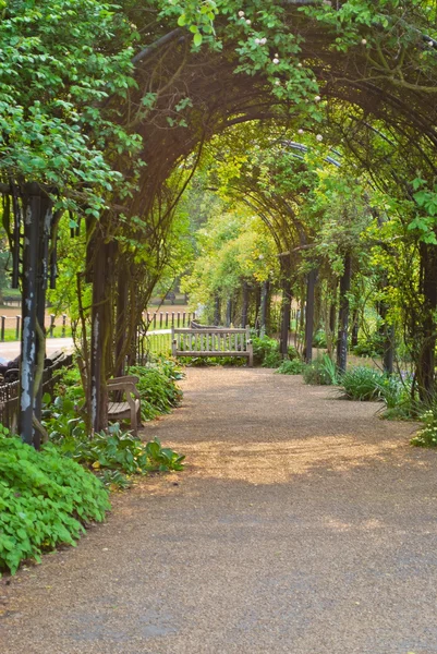 Green Archway in Hyde Park, London, UK Royalty Free Stock Images