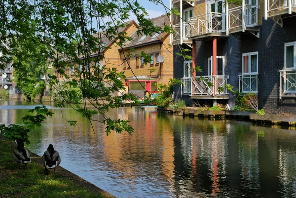 Londra'da canal