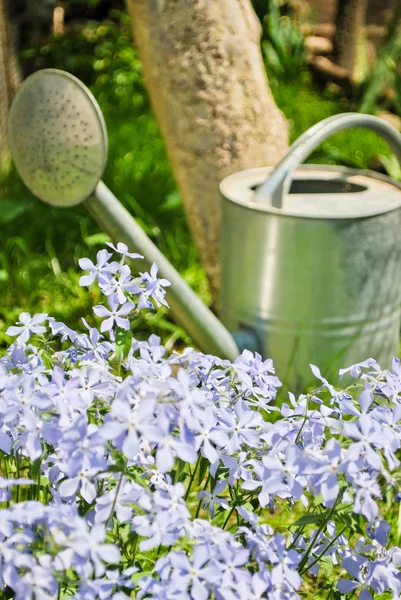 Gieter pot in de tuin — Stockfoto
