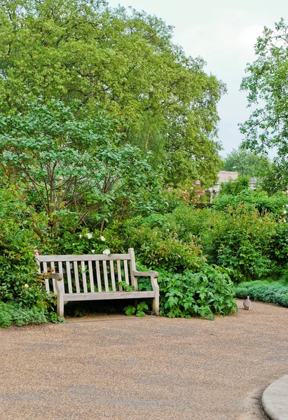 Wooden bench in Hyde Park — Stock Photo, Image