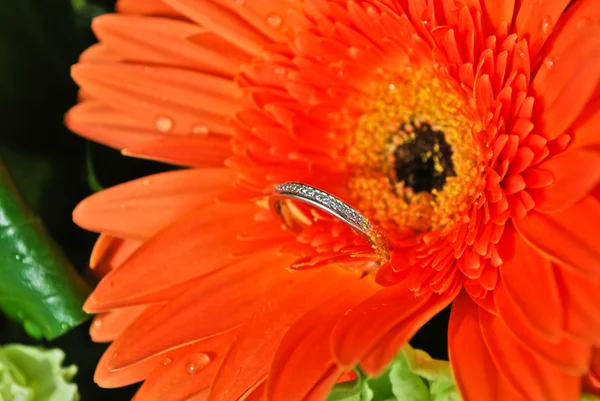 Wedding ring on a flower — Stock Photo, Image
