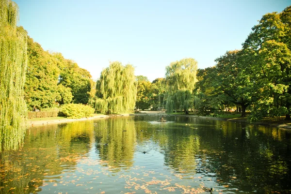 Lago en el parque de otoño — Foto de Stock