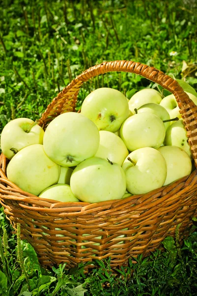 バスケットの健康的な有機リンゴ — ストック写真