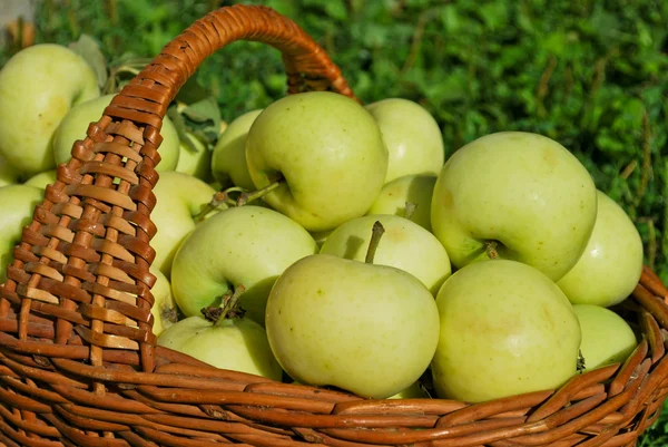 Pommes biologiques saines dans le panier — Photo