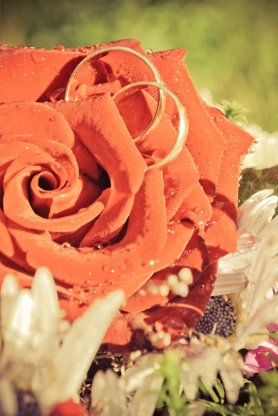 Dos anillos de boda en una rosa roja — Foto de Stock