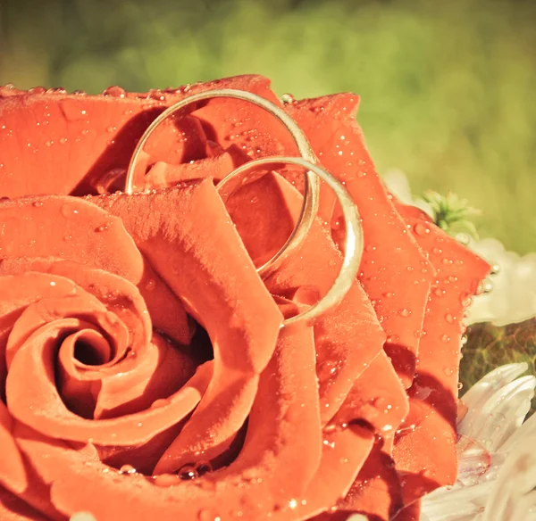 Twee ringen van het huwelijk in een rode roos — Stockfoto