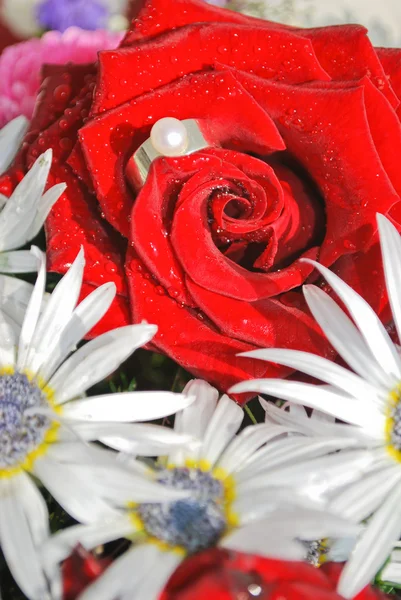Un anillo de compromiso en una rosa roja. Concepto de propuesta —  Fotos de Stock