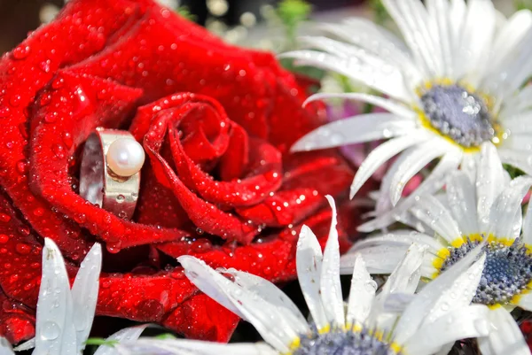Un anillo de compromiso en una rosa roja. Concepto de propuesta — Foto de Stock