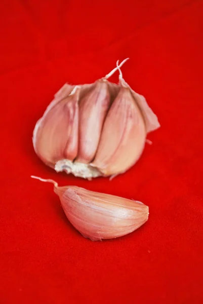 Garlic isolated on red kitchen towel — Stock Photo, Image