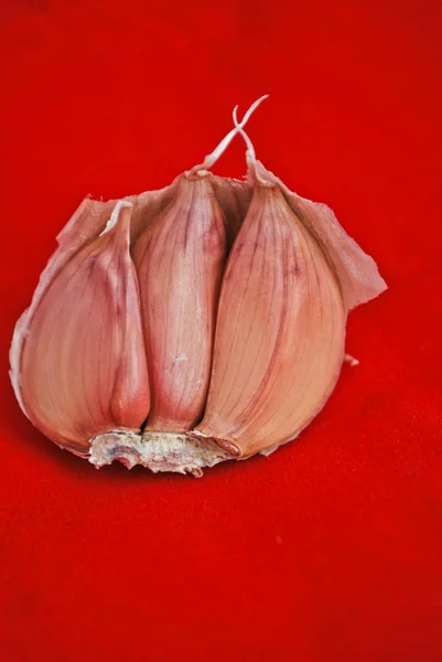Garlic isolated on red kitchen towel — Stock Photo, Image