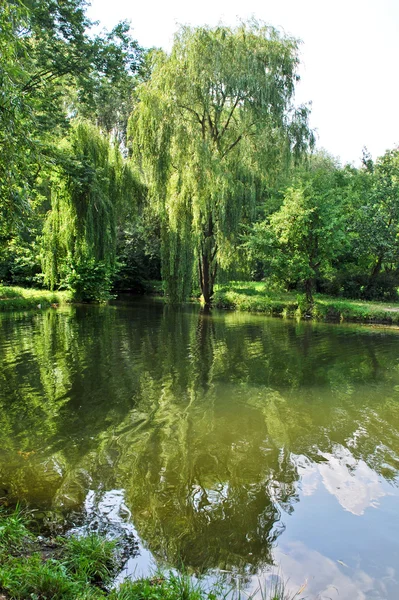 Маленький ставок в парку — стокове фото