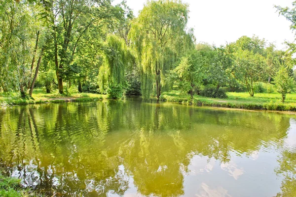 Pequeno lago em um parque — Fotografia de Stock