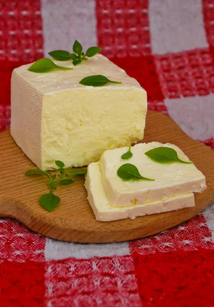 Still life of brynza cheese and basil — Stock Photo, Image