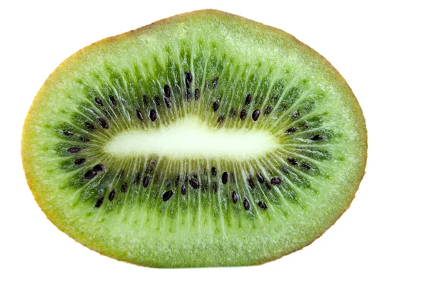 Kiwi macro fatia isolada em branco — Fotografia de Stock