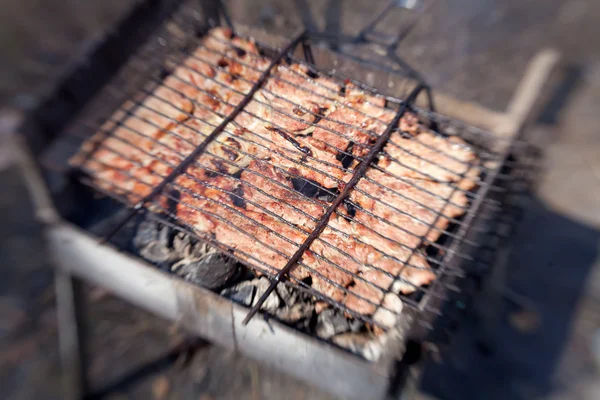 Steaks de porc grillés dans la grille rôtissant dans le barbecue — Photo