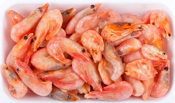 Frozen red shrimps in white plastic box — Stock Photo, Image