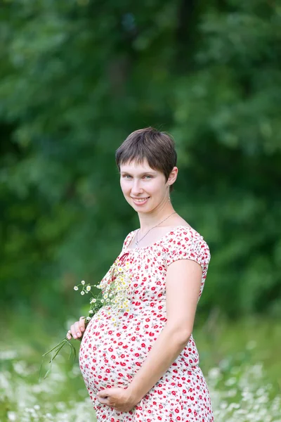 Těhotná žena s heřmánku — Stock fotografie
