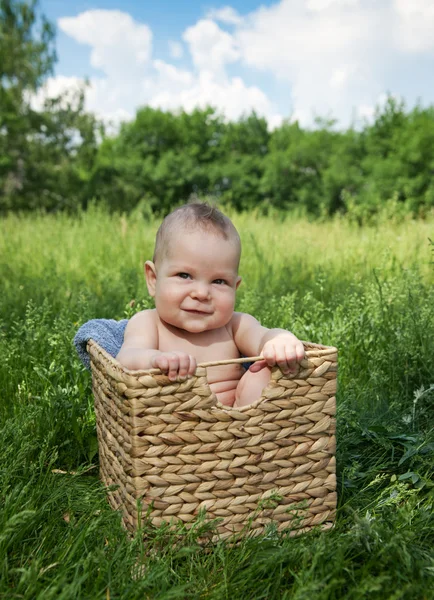 Ребенок в корзине на траве — стоковое фото