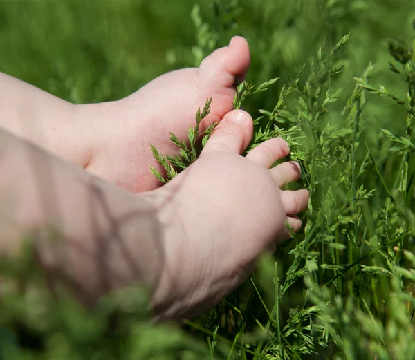 Baby voet op groen gras — Stockfoto