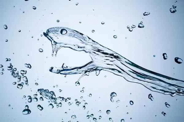 stock image Water splash