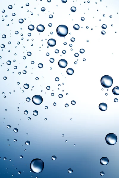 stock image Water drops