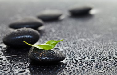 Massage stones with leaf clipart