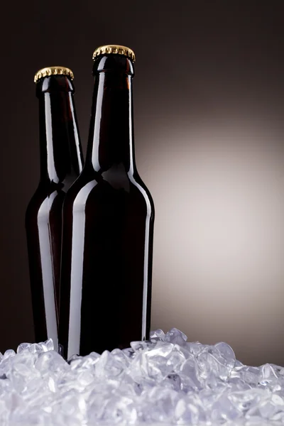 Twee flessen bier — Stockfoto