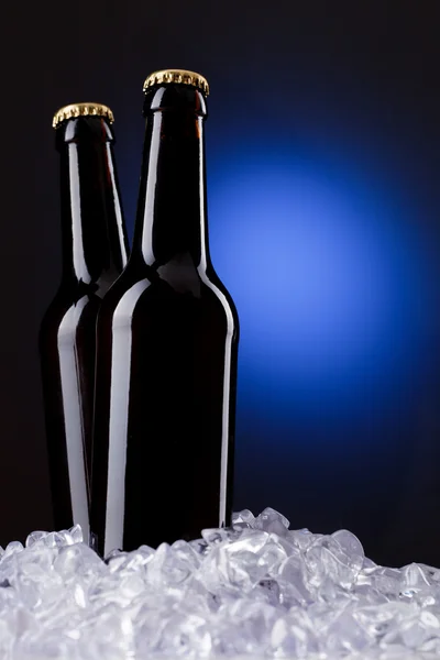Dvě láhve piva — Stock fotografie