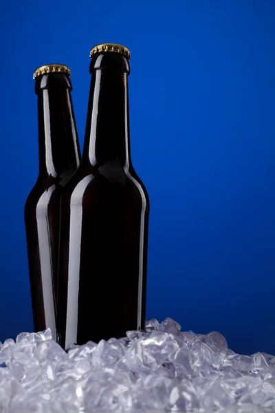 Duas garrafas de cerveja — Fotografia de Stock