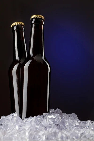 Две бутылки пива — стоковое фото