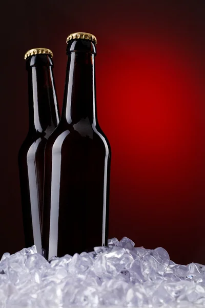 Two bottles of beer — Stock Photo, Image