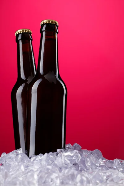 Två flaskor öl — Stockfoto