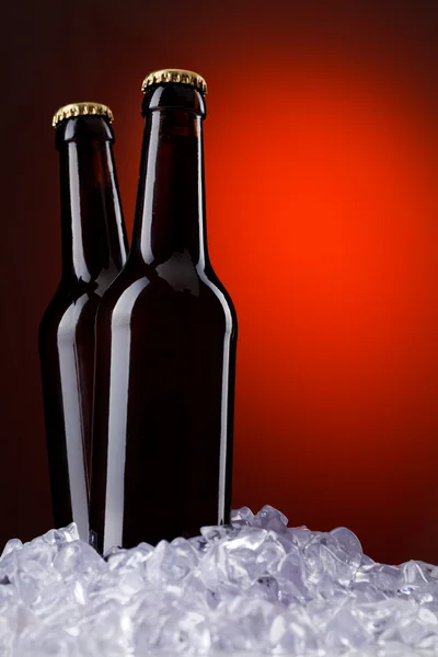 Due bottiglie di birra — Foto Stock