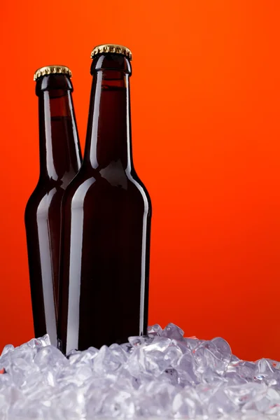 Twee flessen bier — Stockfoto