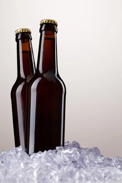 Дві пляшки пива — стокове фото