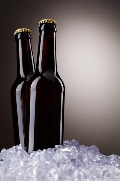 Két üveg sör. — Stock Fotó