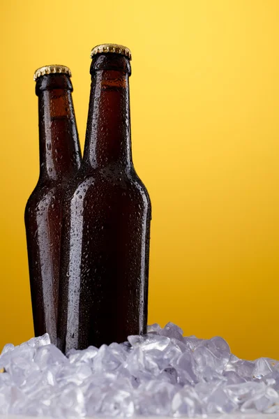 Duas garrafas de cerveja — Fotografia de Stock