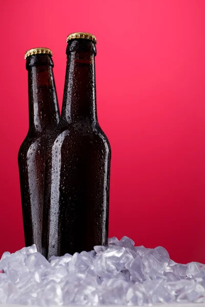 Dos botellas de cerveza —  Fotos de Stock