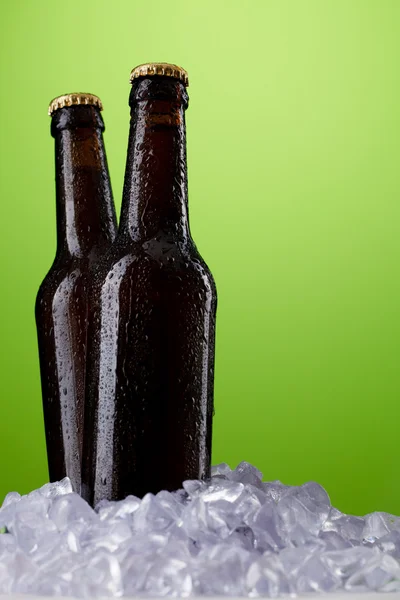 Dwie butelki piwa — Zdjęcie stockowe