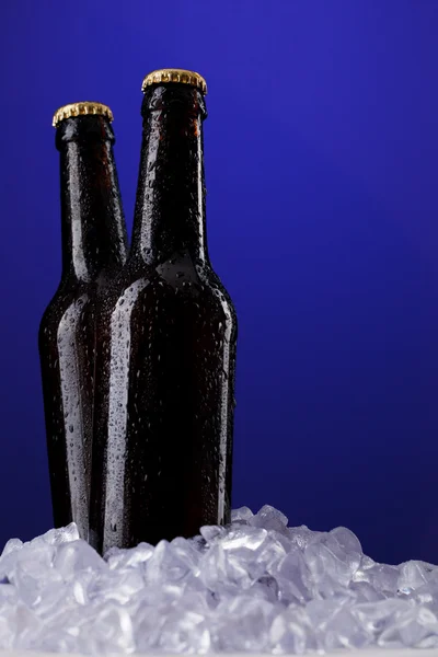 两瓶啤酒 — 图库照片
