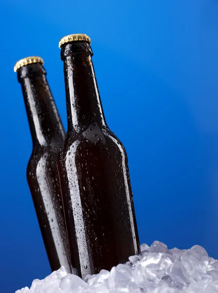 Дві пляшки пива — стокове фото